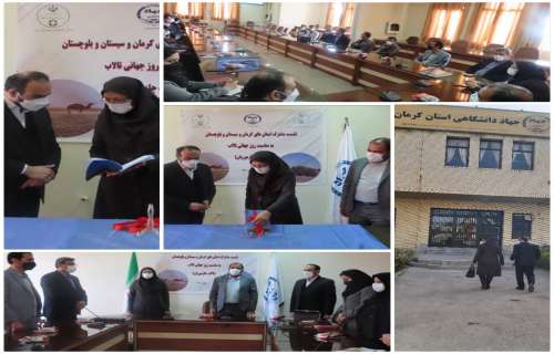 نشست مشترک استانهای کرمان و سیستان و بلوچستان به مناسبت روز جهانی تالاب (تالاب جازموریان) در جهاد دانشگاهی استان کرمان برگزار شد.